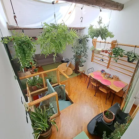 La Casa Nel Centro Storico Apartment Livorno