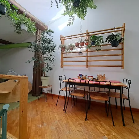 Apartment La Casa Nel Centro Storico Livorno