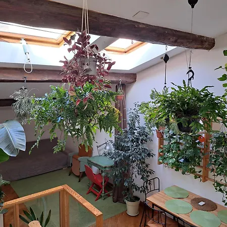 Apartment La Casa Nel Centro Storico